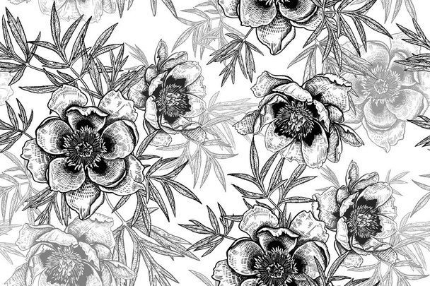 Seamless pattern with peonies and leaves. Black and white. - Vector, Image