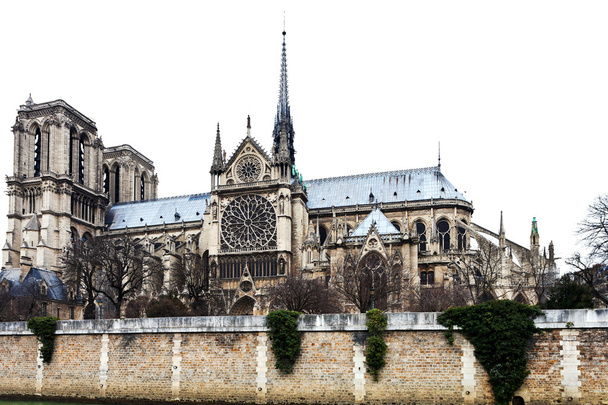 katedrális notre dame de paris - Fotó, kép