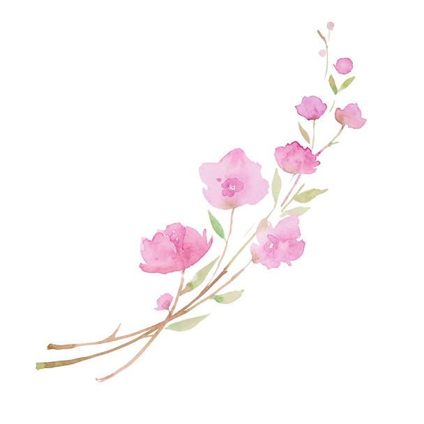 Cherry blossom,  sakura. sketch painting.  Branch with pink flowers, watercolor illustration - Foto, Imagem