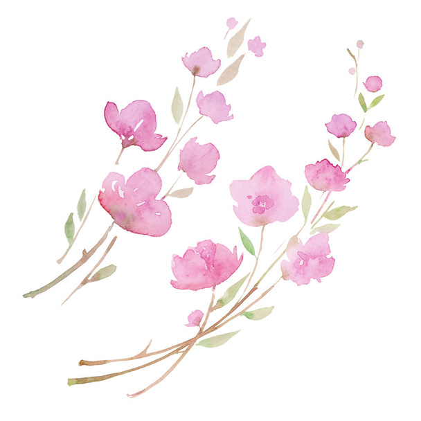 桜、桜セット.スケッチ絵画。ピンクの花を持つ2つの枝、水彩イラスト - 写真・画像