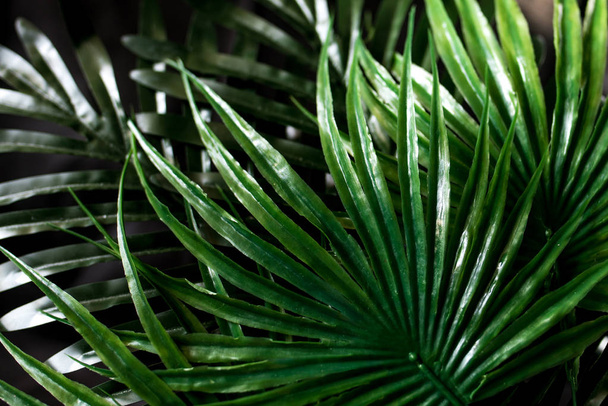 green leaf background texture - Foto, Imagen