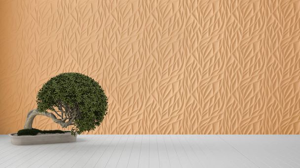 Design intérieur de pièce vide, panneau moulé décoré orange, plancher blanc en bois et plante en pot, arrière-plan d'architecture moderne avec espace de copie, idée de maquette de modèle zen
 - Photo, image