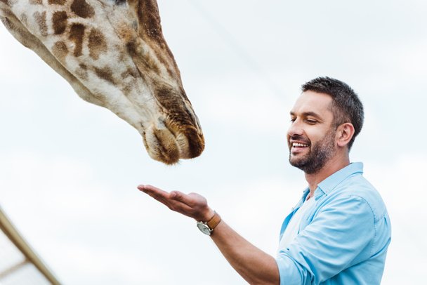 selective focus of happy man feeding giraffe against sky  - Foto, Imagen
