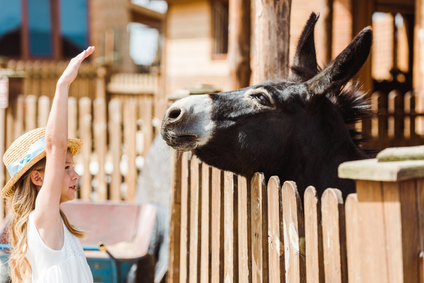 cute kid in straw hat gesturing while looking at donkey in zoo  - Photo, Image