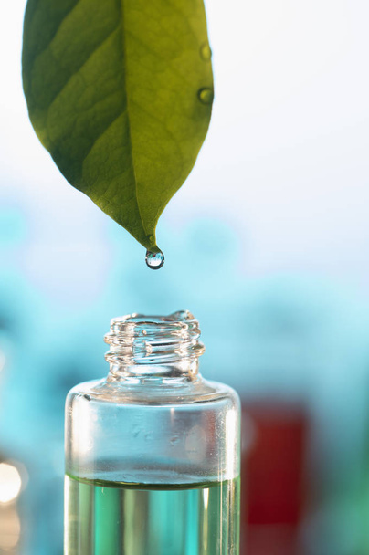 essential oil with green leaf, close-up - Foto, Imagem