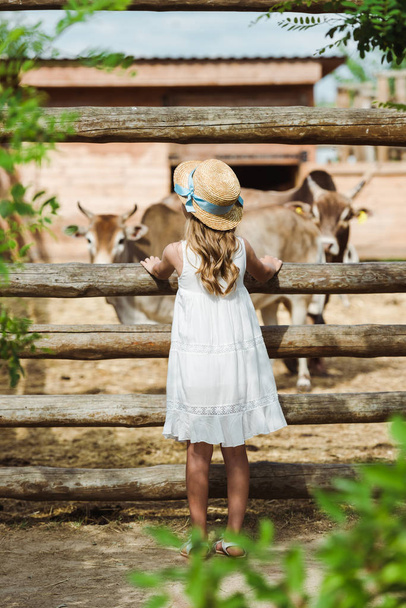 Widok z tyłu dziecka w słomy kapelusz stojący w pobliżu ogrodzenia z byków w zoo  - Zdjęcie, obraz