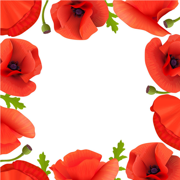 Poppies Stems and flowers frame. card border template with copy space. Pods, leaves, branch boxing - Vecteur, image