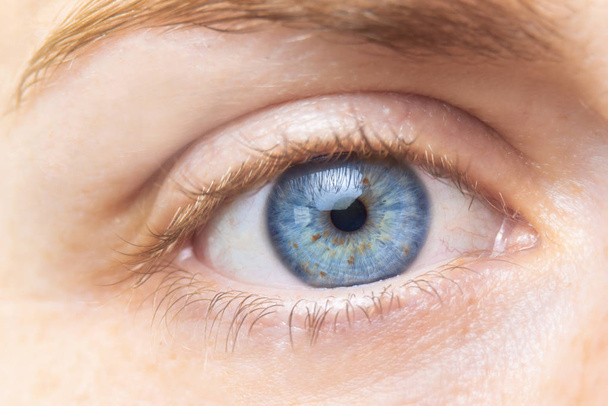Beautiful blue woman eye close up. Macro. - Фото, зображення