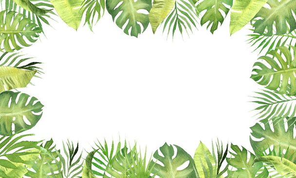 Aquarellrand rahmt grüne tropische Blätter ein. Monstera, Palmblätter, Bananenblätter.  - Foto, Bild