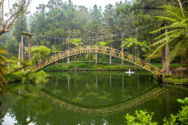 L'étang de l'Université, un site touristique dans la zone d'éducation de la nature Xitou qui est un parc forestier dans le comté de Nantou, Taiwan
. - Photo, image