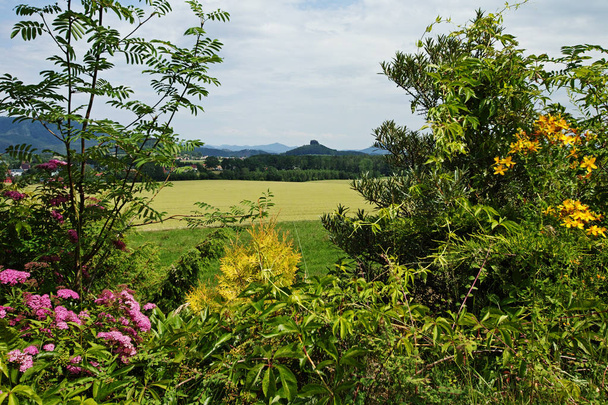 vista sobre los campos a la roca de Zirkelstein
 - Foto, Imagen