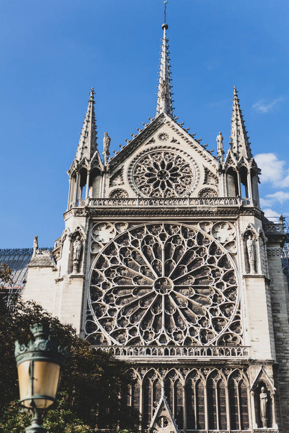 Notre Dame de Paris Frankrijk - Foto, afbeelding