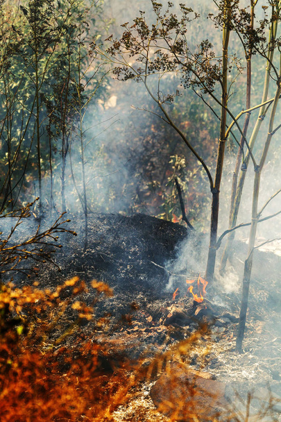 Erős füst sztyepp. Erdő és sztyepp tüzek elpusztítják a területek és a sztyeppek során súlyos aszály. Tűz, erős füst. Blur fókusz miatt Jitter forró forró tüzet. Katasztrófa, károsodás, házveszély - Fotó, kép
