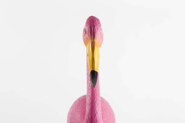 rózsaszín flamingó rózsaszín háttérrel - Fotó, kép