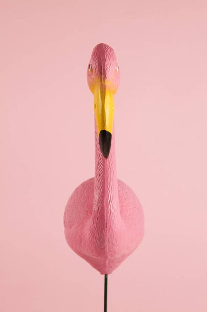 pembe arka plan üzerinde pembe flamingo - Fotoğraf, Görsel