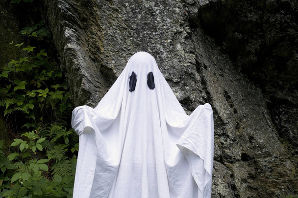 Ghost standing in front of a rock - Photo, Image
