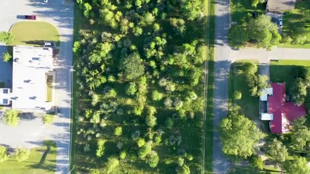 Park, çim, ağaçlar, çalılar ve diğer tarlalar için boşluklar swathes ile sokakları ve ülke yollarda driveways bağlı konut, ticari ve doğal alanların bir karışımını gösteren tipik bir Amerikan banliyö bölgesinin bir havadan görünümü. - Video, Çekim