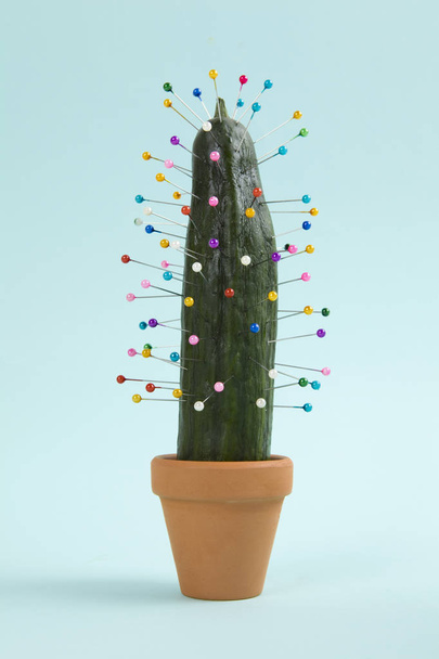 кактус вуду - Фото, изображение