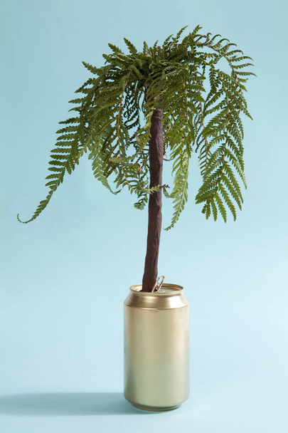 пальма и золотая банка
 - Фото, изображение
