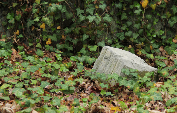 Reste eines alten Grabsteins auf dem Friedhof für Geisteskranke in Prag, Tschechische Republik - Foto, Bild