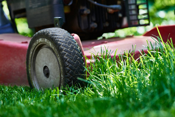 芝刈り機の近くの低角度新鮮な緑の草を切断 - 写真・画像