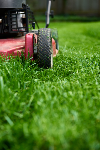 Low angle close up of lawnmower cutting fresh green grass - Photo, Image