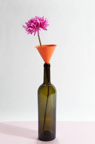 wacky still life bottle and flower 1 - Φωτογραφία, εικόνα