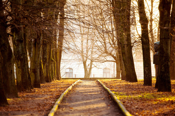 cozy walking path in the autumn park - Photo, Image