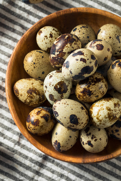 Raw Organic Spotted Quail Eggs - Photo, Image