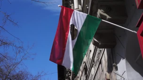 rüzgarda elli altı delikli Macar bayrağı dalgalar - Video, Çekim
