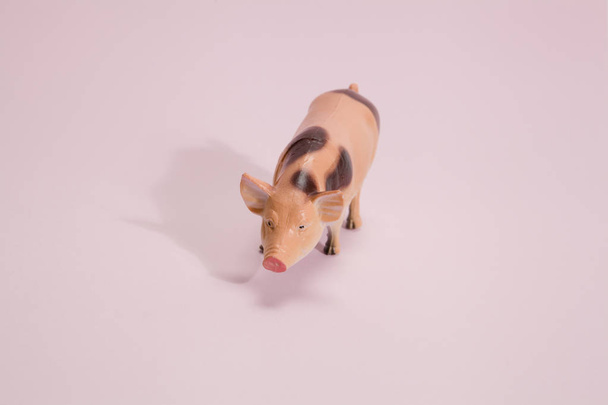 figurita de plástico de cerdo fondo rosa
 - Foto, Imagen
