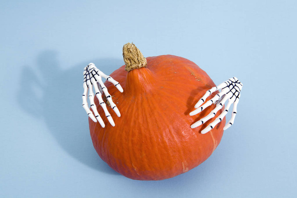 pumpkin and hands - 写真・画像