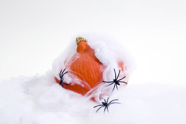 Captured pumpkin - Photo, Image