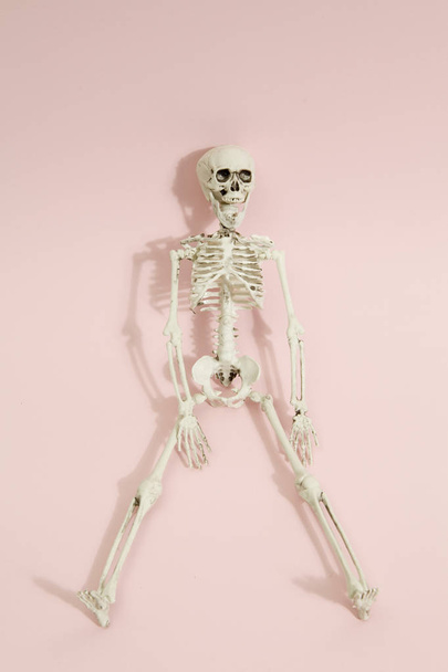 roze skelet - Foto, afbeelding