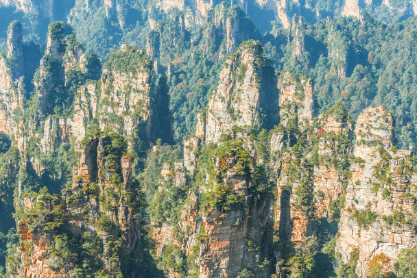 Барвисті скелі у місті Чжанцзяцзе лісопарку в сонячний час увечері. - Фото, зображення