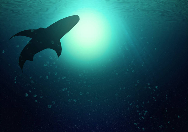 Las siluetas de los tiburones nadan al nivel del océano. El oscuro océano profundo ilumina el sol - Foto, imagen