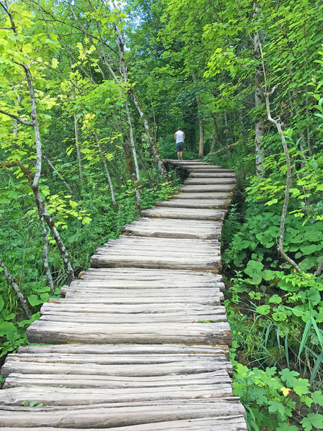 malowniczy widok na drewnianą ścieżkę w lesie - Zdjęcie, obraz
