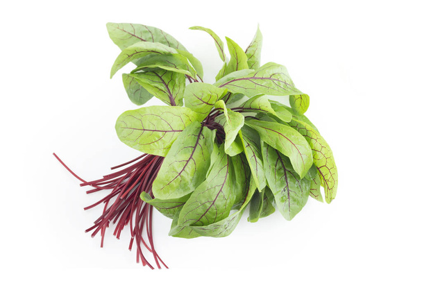 fresh sorrel leaves for a variety of summer recipes - Photo, Image