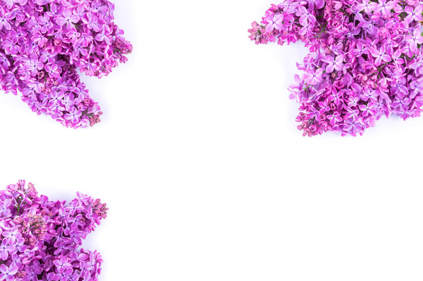 Zweige lila Blüten isoliert auf weißem Hintergrund. Syringa vulgaris. Kopierraum. Grußkarte. - Foto, Bild