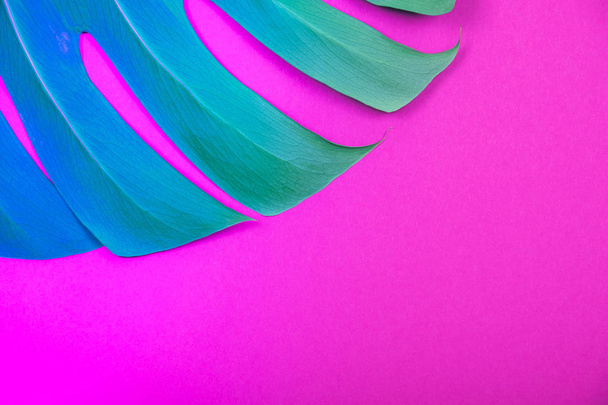 Neon colored Tropical plant green monstera leaf on acid plastic pink background. - Valokuva, kuva