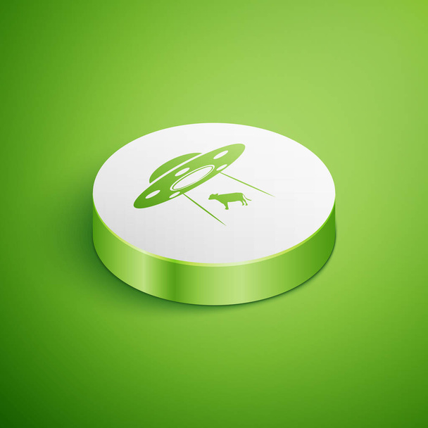 Izometrikus UFO menyasszonyodat tehén ikon izolált zöld háttér. Repülő csészealj. Idegen űrhajó. Futurisztikus ismeretlen repülő tárgyat. Fehér kör gomb. Vektoros illusztráció - Vektor, kép