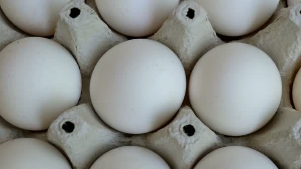 白鶏の卵は新鮮で、生態学的なダンボール包装に積み重ねられています。食べ物の背景。クローズ アップ. - 映像、動画