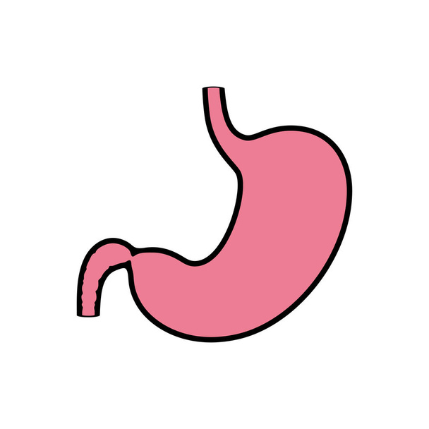 Vector isolated illustration of stomach - Vektor, Bild