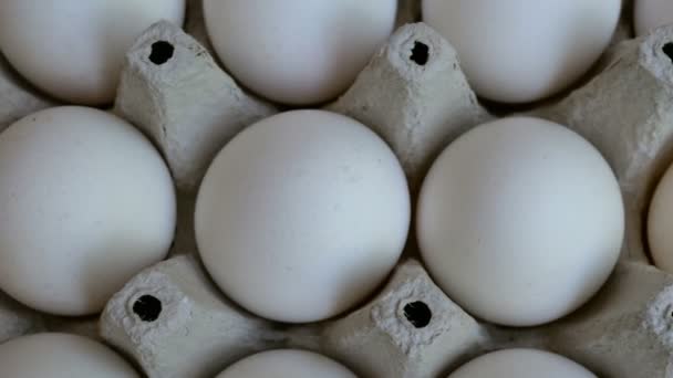 Os ovos de galinha branca são frescos, empilhados em embalagens ecológicas de papelão. Fundo alimentar. Close-up
. - Filmagem, Vídeo
