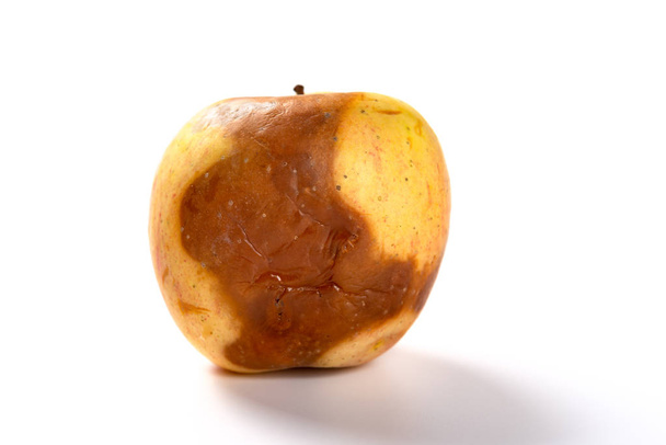 Beyaz arkaplanda çürük elma - Fotoğraf, Görsel