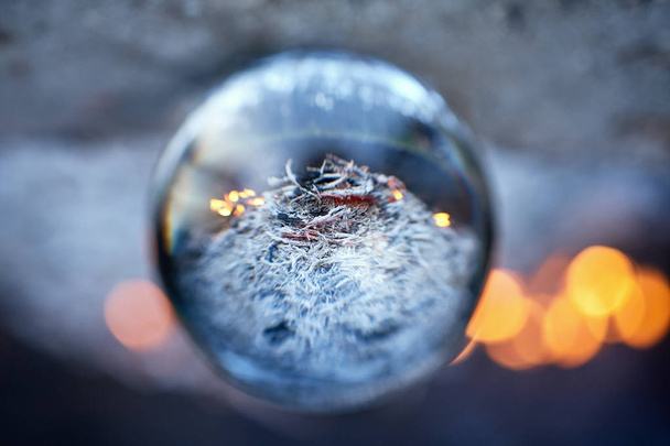 Vue à l'envers à travers la boule de verre sur le feu de camp brouillé dans la forêt
 - Photo, image