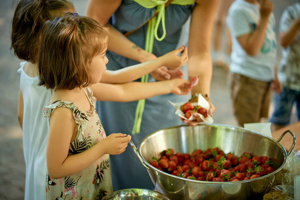 Δύο μικρά κορίτσια στο πικνίκ της οικογένειας τρώγοντας φράουλες την καλοκαιρινή μέρα. - Φωτογραφία, εικόνα
