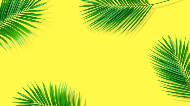 Летняя композиция. Тропические пальмовые листья на желтом фоне. S
 - Фото, изображение