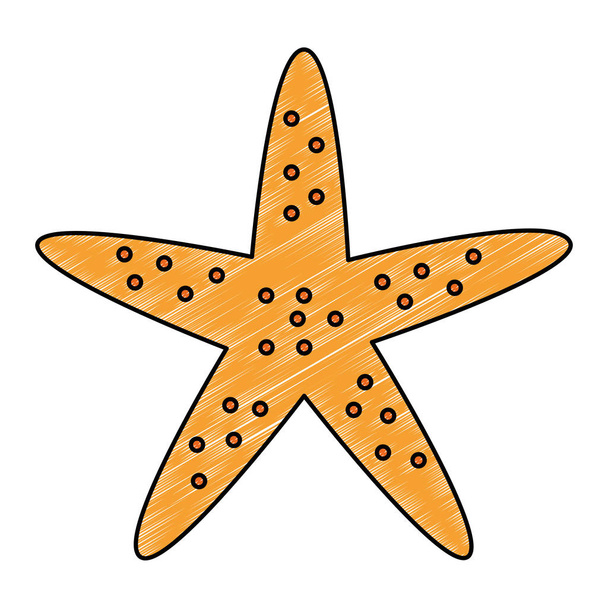 starfish animal beach icon - Vector, Image