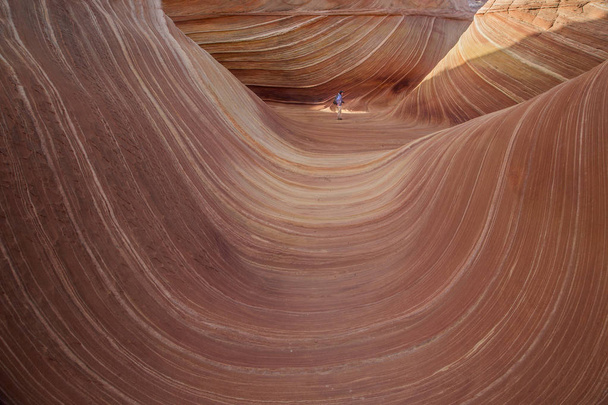 Coyote Buttes North - Photo, Image